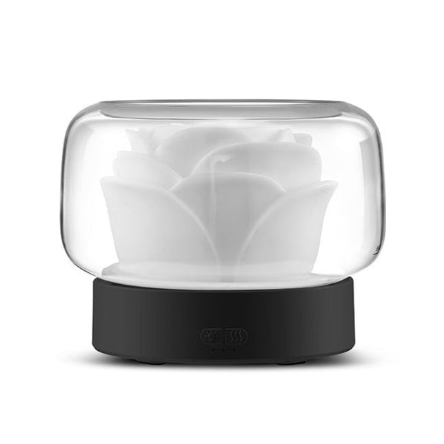 Large Capacity Essential Oil Diffuser & Night Light Humidifier