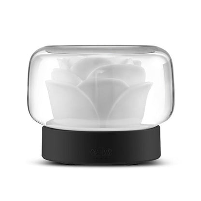 Large Capacity Essential Oil Diffuser & Night Light Humidifier