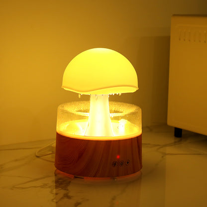 Rain Cloud Ultrasonic Diffuser & Humidifier – Aroma & Air Moisturizer