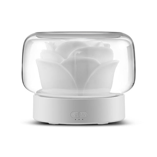 Large Capacity Essential Oil Diffuser & Night Light Humidifier