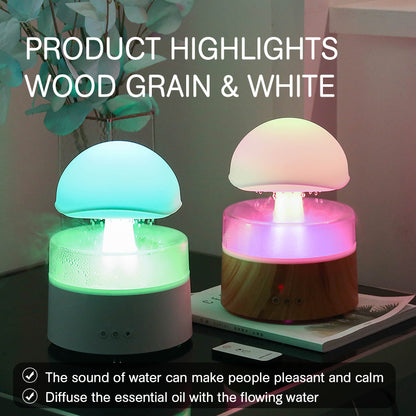 Rain Cloud Ultrasonic Diffuser & Humidifier – Aroma & Air Moisturizer